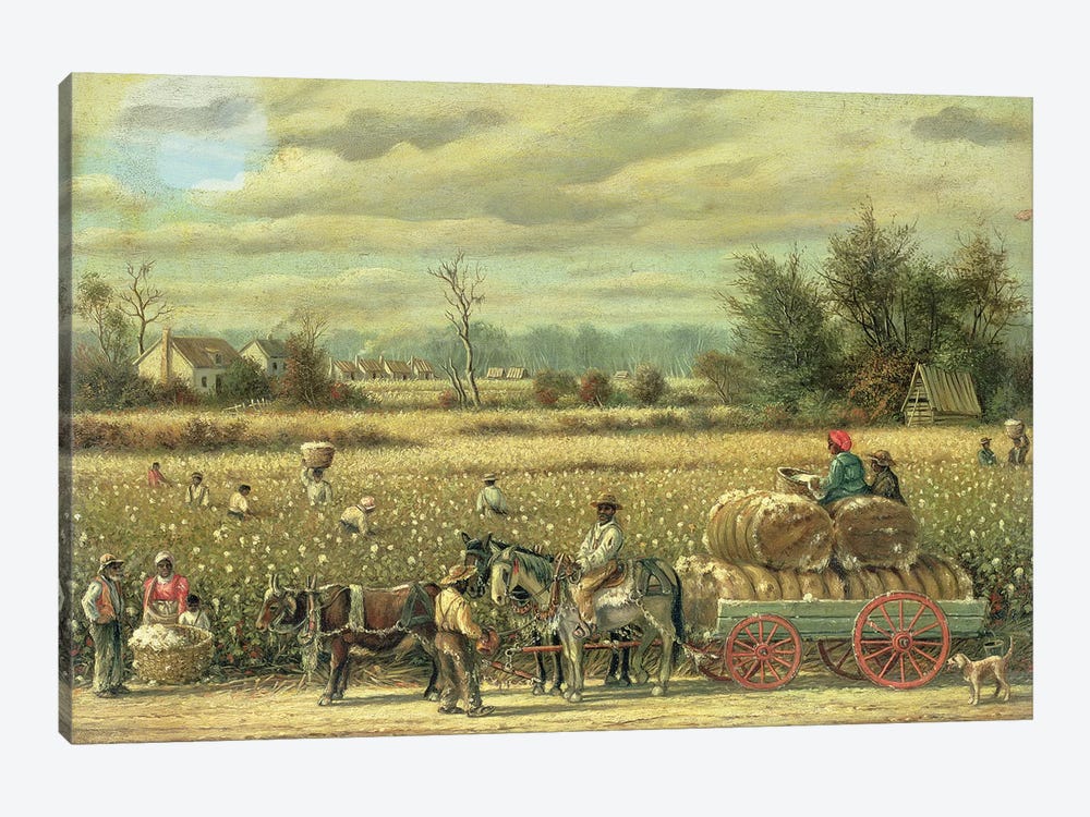 Picking Cotton  by William Aiken Walker 1-piece Canvas Artwork