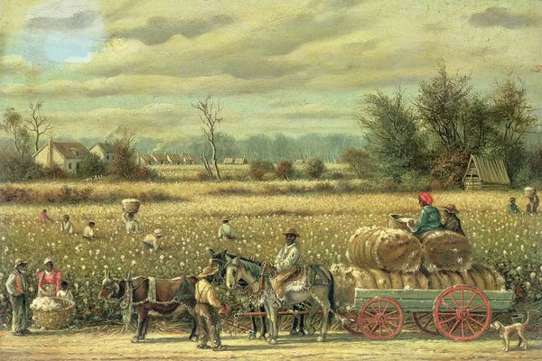Country: Picking Cotton  by William Aiken Walker