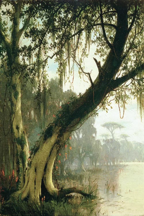 In the Bayou  by Joseph Rusling Meeker wall art
