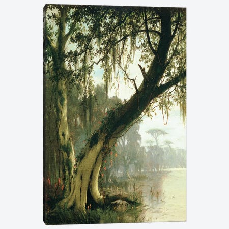 In the Bayou  Canvas Print #BMN4764} by Joseph Rusling Meeker Canvas Art