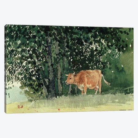 Cow in Pasture, 1878  Canvas Print #BMN4769} by Winslow Homer Canvas Art Print