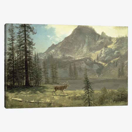 Call of the Wild  Canvas Print #BMN4774} by Albert Bierstadt Art Print