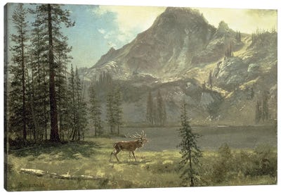 Call of the Wild  Canvas Art Print - Albert Bierstadt