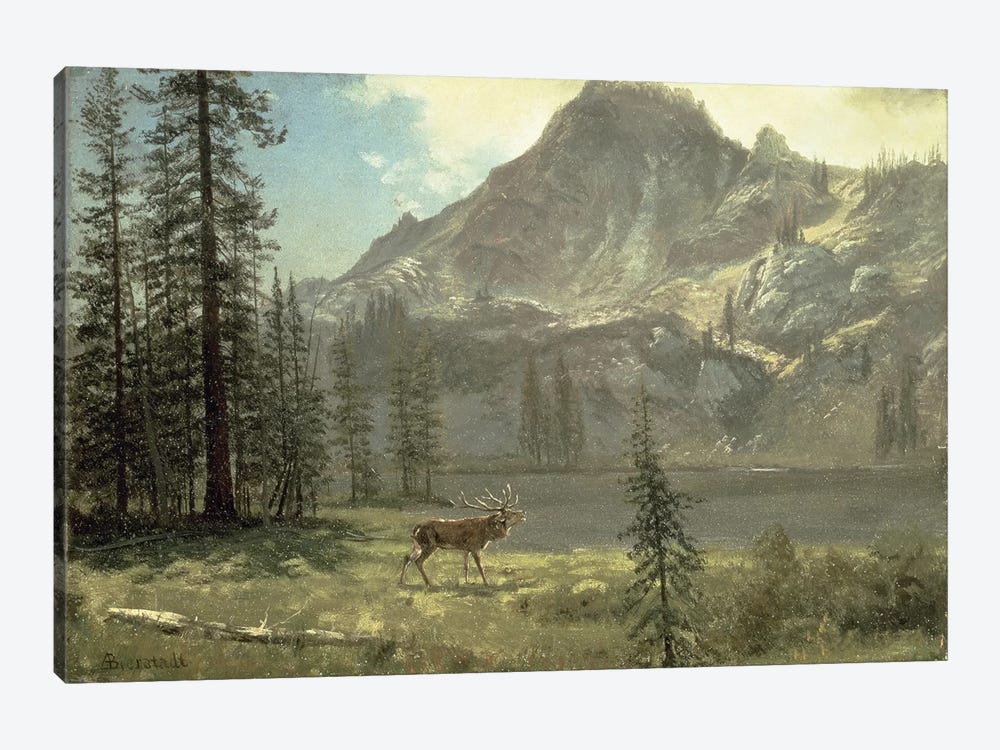 Call of the Wild  by Albert Bierstadt 1-piece Canvas Art Print
