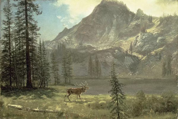 Hudson River School: Call of the Wild  by Albert Bierstadt