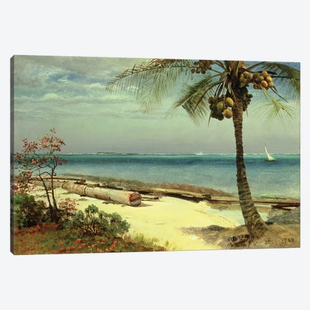 Tropical Coast Canvas Print #BMN4785} by Albert Bierstadt Canvas Artwork