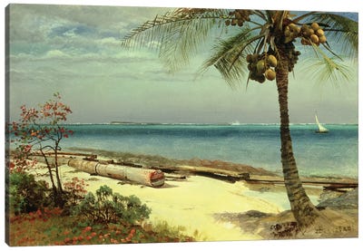 Tropical Coast Canvas Art Print - Hudson River School Art