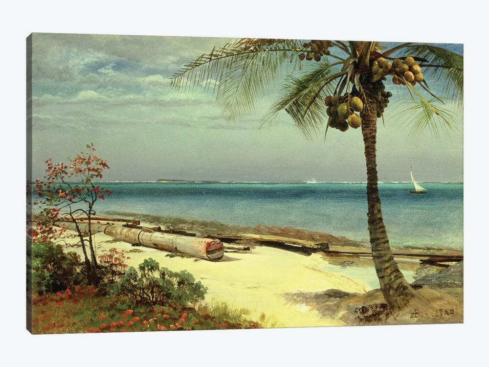 Tropical Coast by Albert Bierstadt 1-piece Art Print