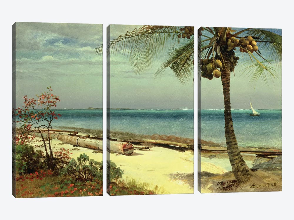 Tropical Coast by Albert Bierstadt 3-piece Canvas Print
