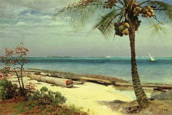 Albert Bierstadt: Tropical Coast by Albert Bierstadt