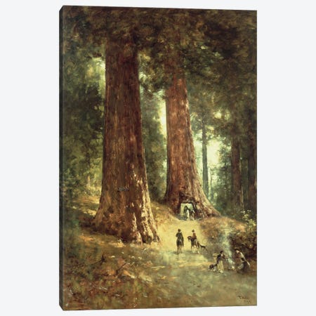 In the Redwoods, 1899  Canvas Print #BMN4787} by Thomas Hill Canvas Artwork