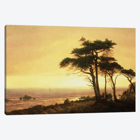 California Coast  Canvas Print #BMN4790} by Albert Bierstadt Canvas Art