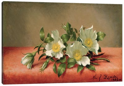 Cherokee Roses, 1889  Canvas Art Print