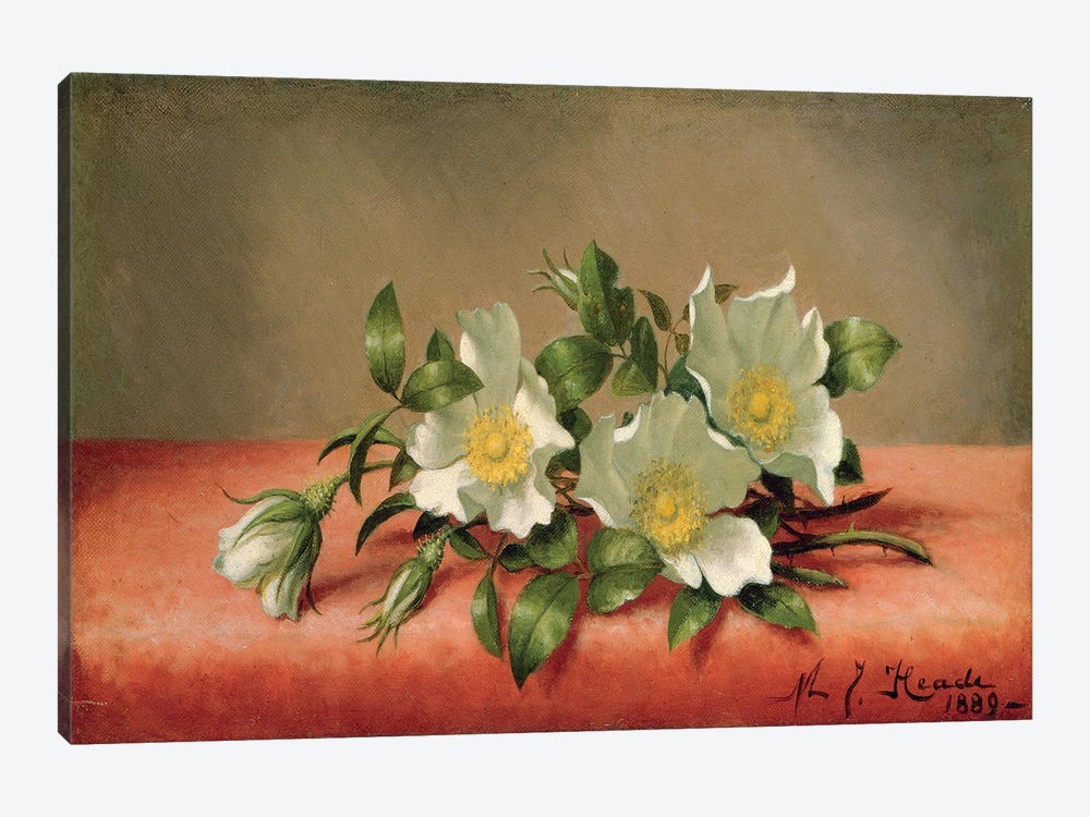 Cherokee Roses, 1889  1-piece Canvas Art Print