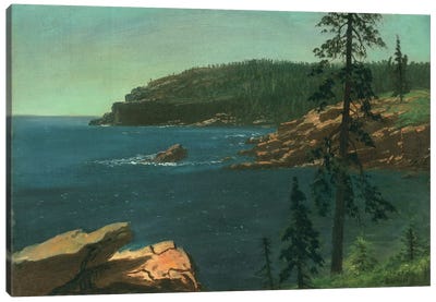 California Coast  Canvas Art Print