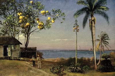 Tropical Scene  by Albert Bierstadt multi panel art