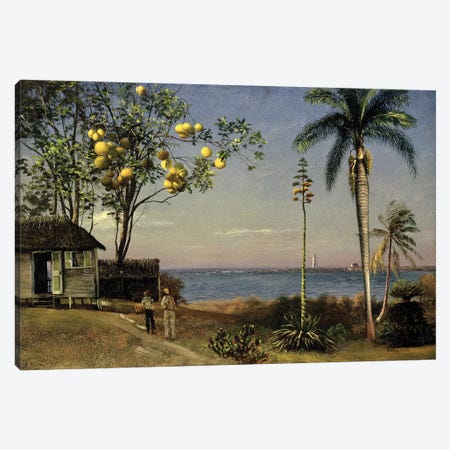 Tropical Scene  Canvas Print #BMN4817} by Albert Bierstadt Canvas Wall Art