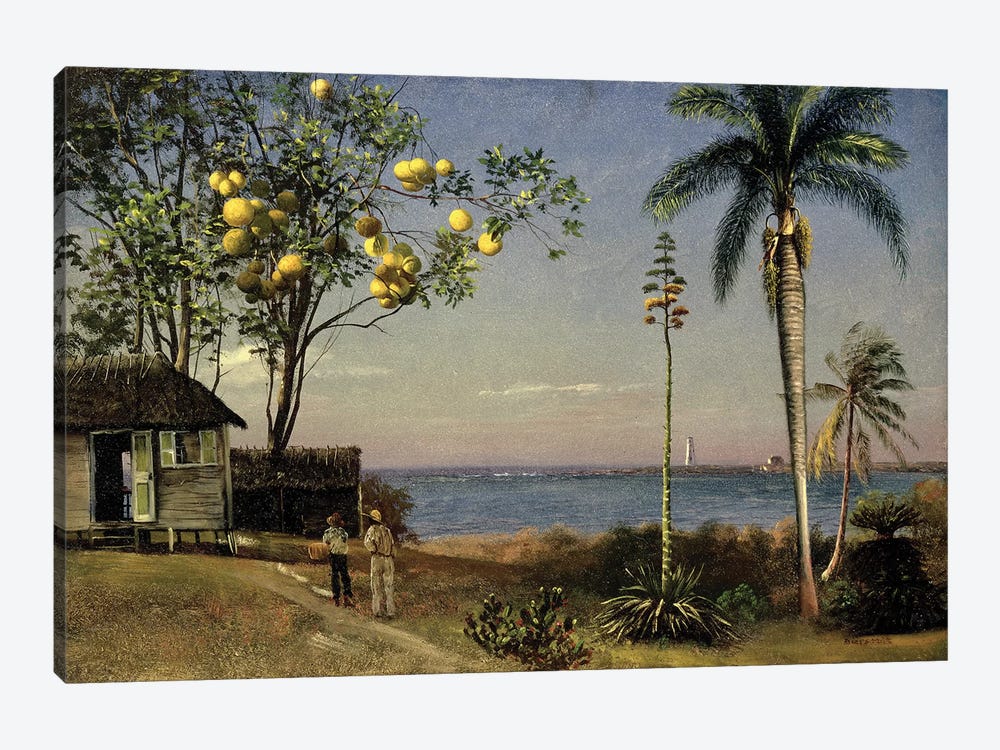 Tropical Scene  by Albert Bierstadt 1-piece Canvas Wall Art