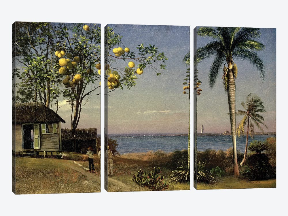 Tropical Scene  by Albert Bierstadt 3-piece Canvas Wall Art