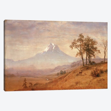 Mount Hood, 1863  Canvas Print #BMN4824} by Albert Bierstadt Art Print