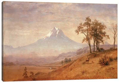 Mount Hood, 1863  Canvas Art Print - Albert Bierstadt