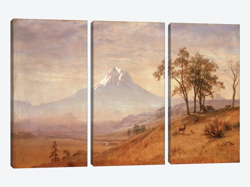 Mount Hood, 1863  by Albert Bierstadt 3-piece Canvas Artwork