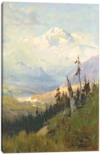 An Autumn Day, Mt. McKinley  Canvas Art Print