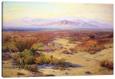 The Great Silence  Canvas Art Print - Desert Art