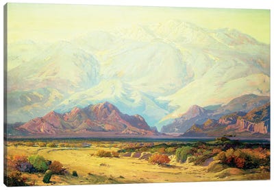 The Majestic Desert  Canvas Art Print