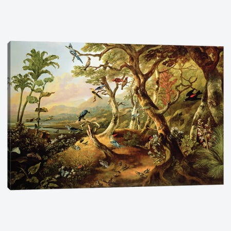 Exotic Birds and Insects Among Trees and Foliage in a Mountainous River Landscape  Canvas Print #BMN4902} by Philip Reinagle Canvas Art Print
