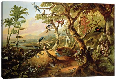 Exotic Birds and Insects Among Trees and Foliage in a Mountainous River Landscape  Canvas Art Print