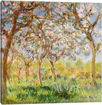 Spring at Giverny  Canvas Art Print - Field, Grassland & Meadow Art