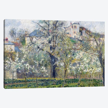 The Vegetable Garden with Trees in Blossom, Spring, Pontoise, 1877  Canvas Print #BMN497} by Camille Pissarro Canvas Art