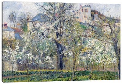 The Vegetable Garden with Trees in Blossom, Spring, Pontoise, 1877  Canvas Art Print - Camille Pissarro