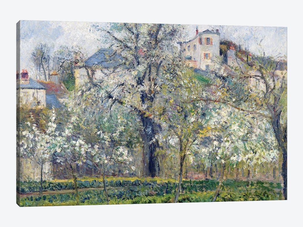 The Vegetable Garden with Trees in Blossom, Spring, Pontoise, 1877  by Camille Pissarro 1-piece Canvas Artwork