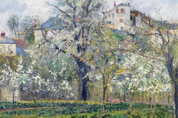 The Vegetable Garden With Trees In Blossom Spring Pontoise Ver. II