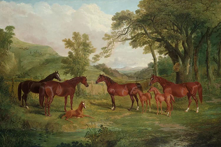 The Streatlam Stud, Mares and Foals, 1836 