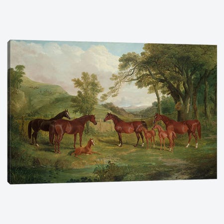 The Streatlam Stud, Mares and Foals, 1836  Canvas Print #BMN4986} by John Frederick Herring Sr Canvas Art