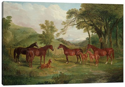 The Streatlam Stud, Mares and Foals, 1836  Canvas Art Print - Marsh & Swamp Art