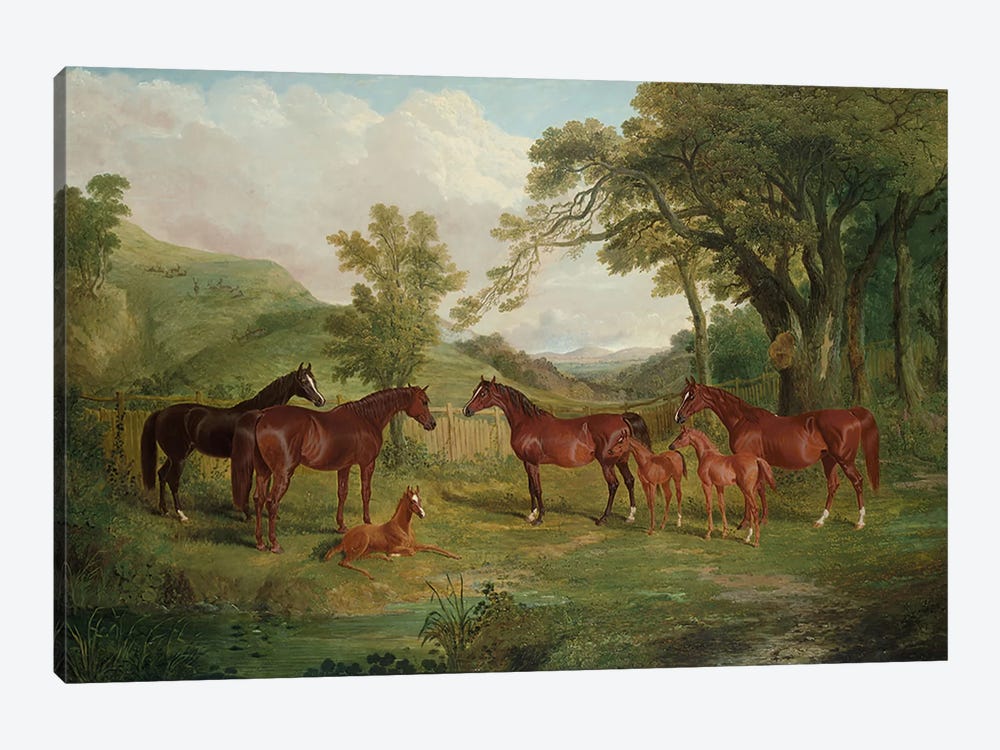 The Streatlam Stud, Mares and Foals, 1836  by John Frederick Herring Sr 1-piece Canvas Art Print