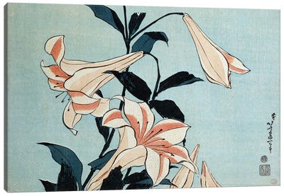 Trumpet lilies  Canvas Art Print - Katsushika Hokusai