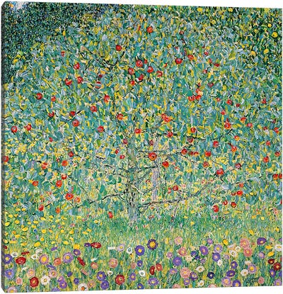 Apple Tree (Apfelbaum), 1912  Canvas Art Print - All Things Klimt