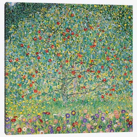 Apple Tree (Apfelbaum), 1912  Canvas Print #BMN5015} by Gustav Klimt Canvas Print