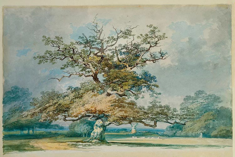 A Landscape with an Old Oak Tree  by J.M.W. Turner wall art