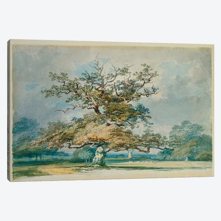 A Landscape with an Old Oak Tree  Canvas Print #BMN5049} by J.M.W. Turner Canvas Print