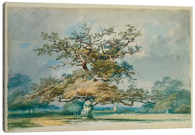 A Landscape with an Old Oak Tree  Canvas Art Print - Oak Tree Art