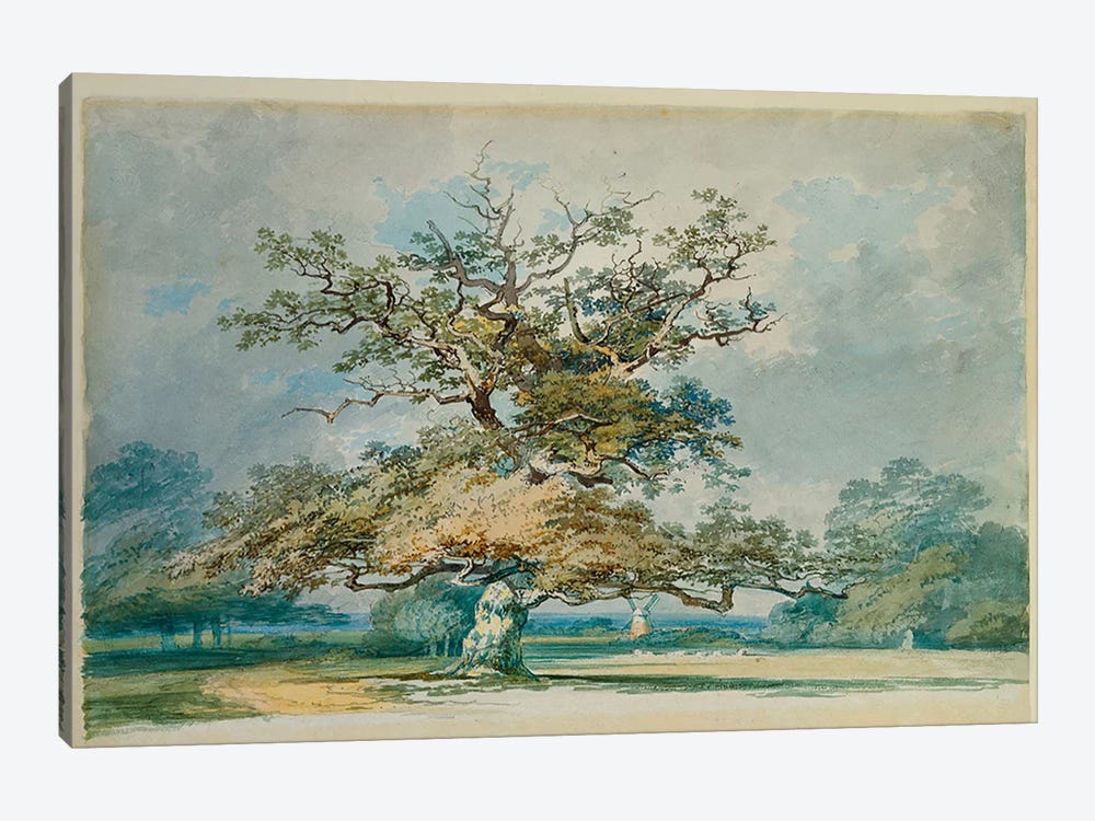 A Landscape with an Old Oak Tree  1-piece Canvas Artwork