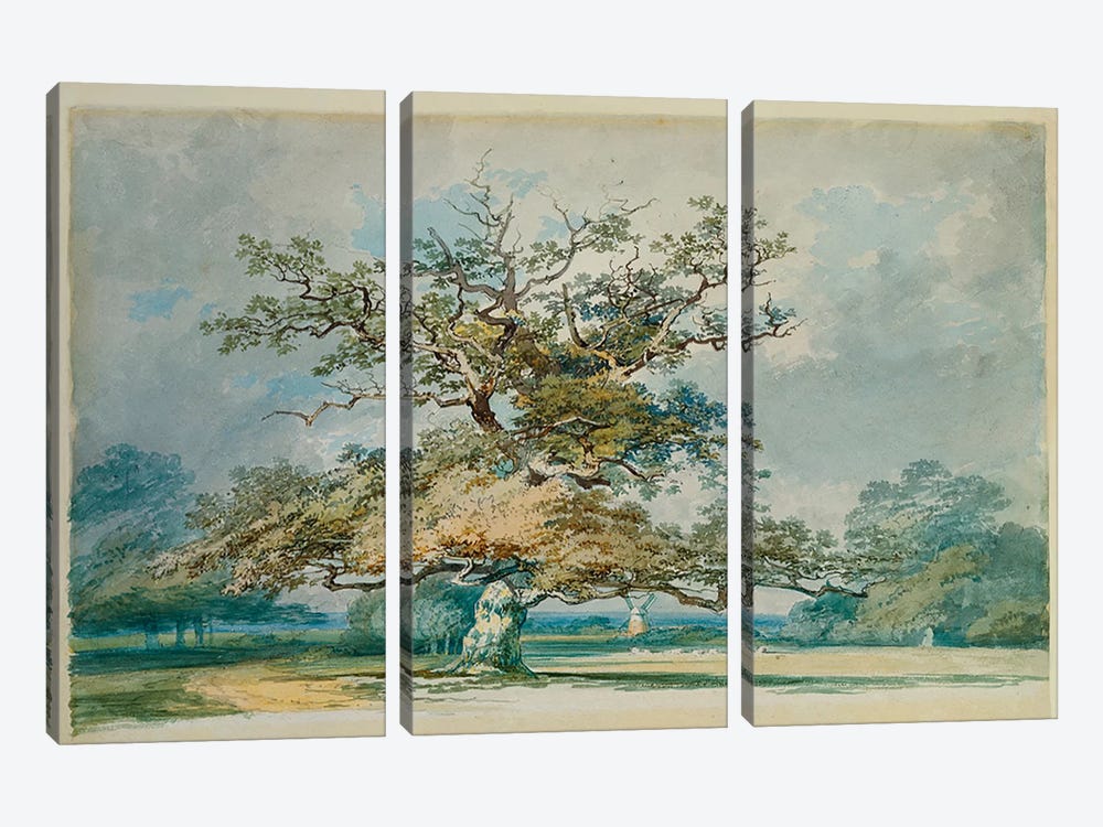 A Landscape with an Old Oak Tree  3-piece Canvas Art