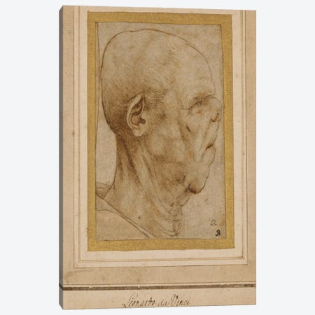 Caricature of the head of an old man, in profile to the right, c.1507  Canvas Print #BMN5121} by Leonardo da Vinci Canvas Art