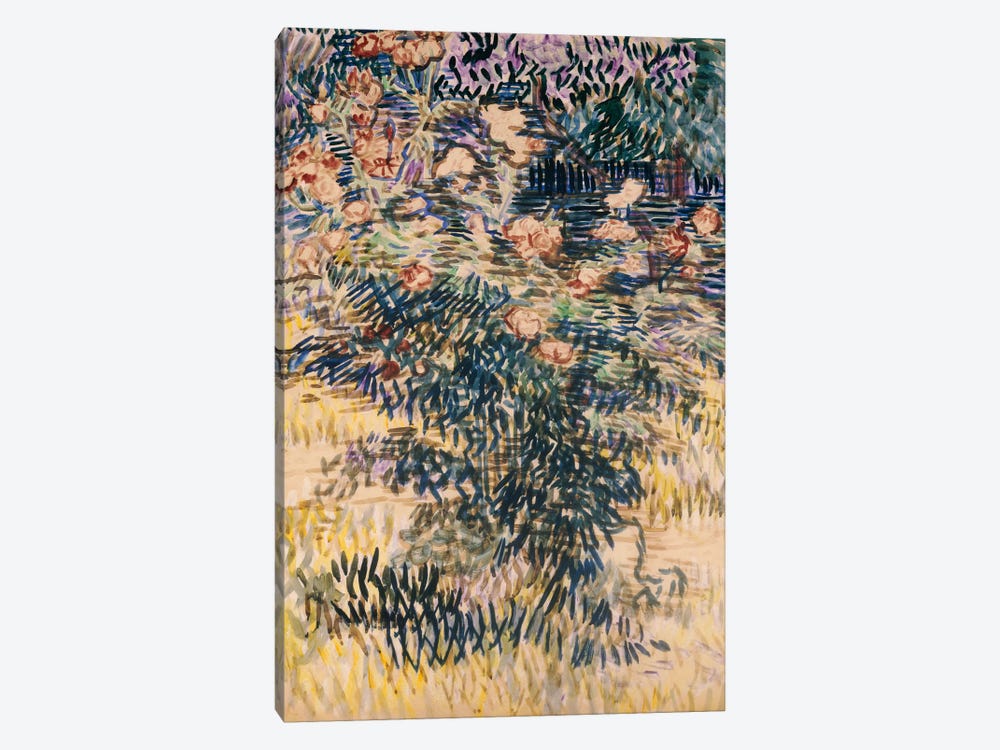 Oleanders, the Hospital Garden at Saint-Remy, 1889  by Vincent van Gogh 1-piece Art Print